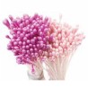 Pistilli per fiori Decora viola e rosa perlato 288 pz