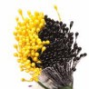 Pistilli per fiori Decora giallo e nero perlato 288 pz