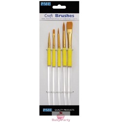 Set 5 Pennelli Professionali Punte Miste Craft Brushes PME